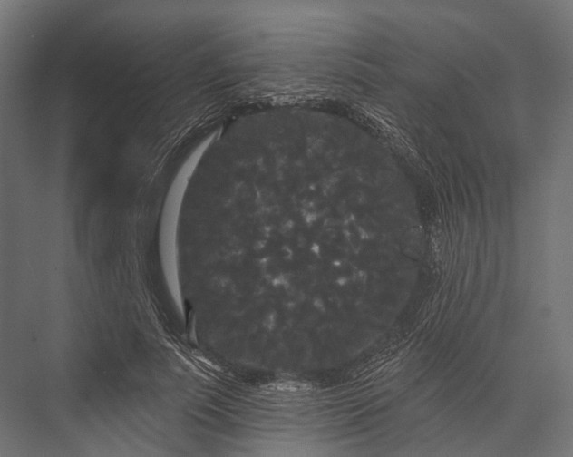 X0000076060691200610061536