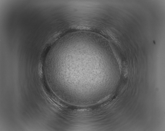 X0000076060692200610061536