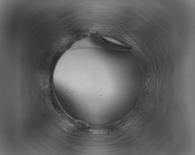 X0000076060693200610061536