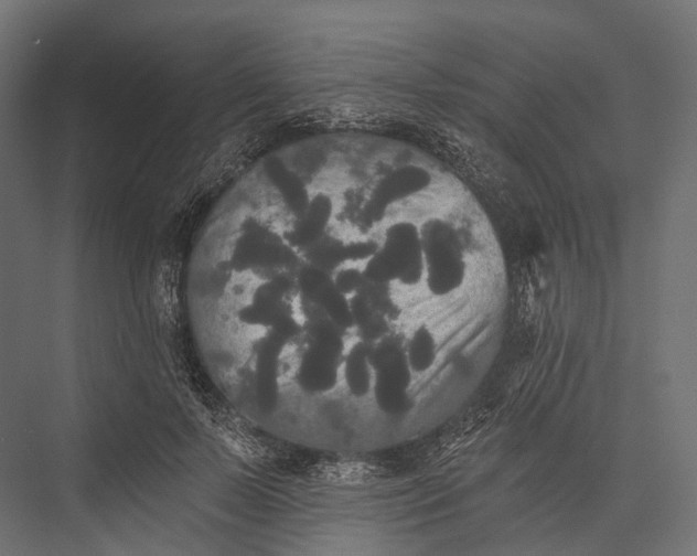 X0000076060695200610061536