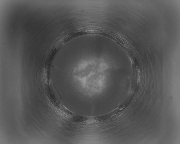 X0000076060696200610061536