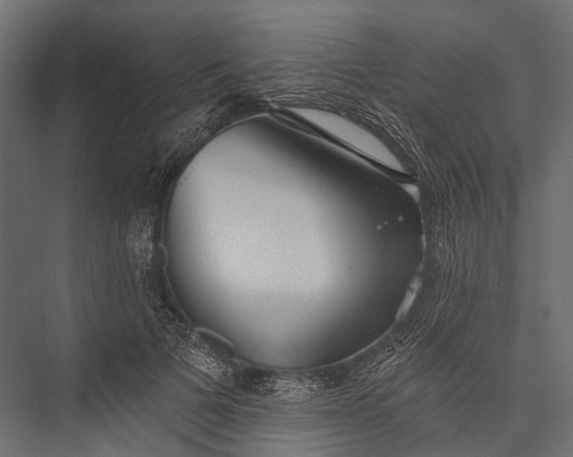 X0000076060697200610061536