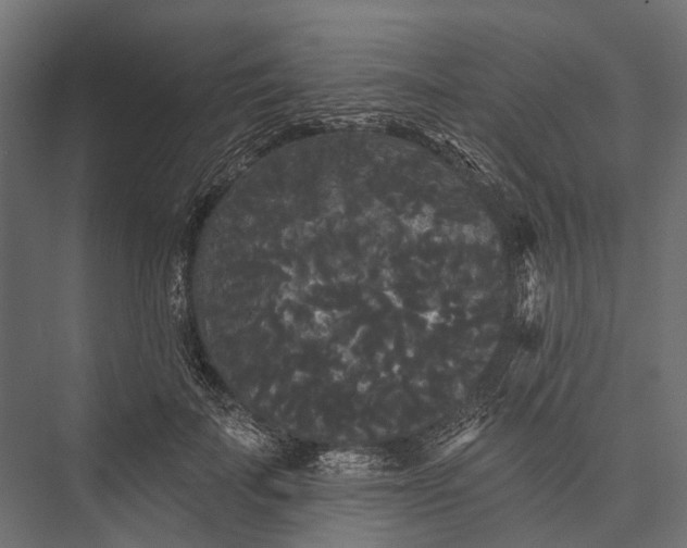 X0000076060699200610061536