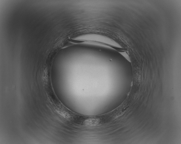 X0000076060700200610061536