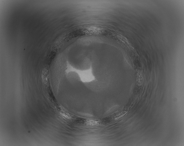 X0000076060701200610061536