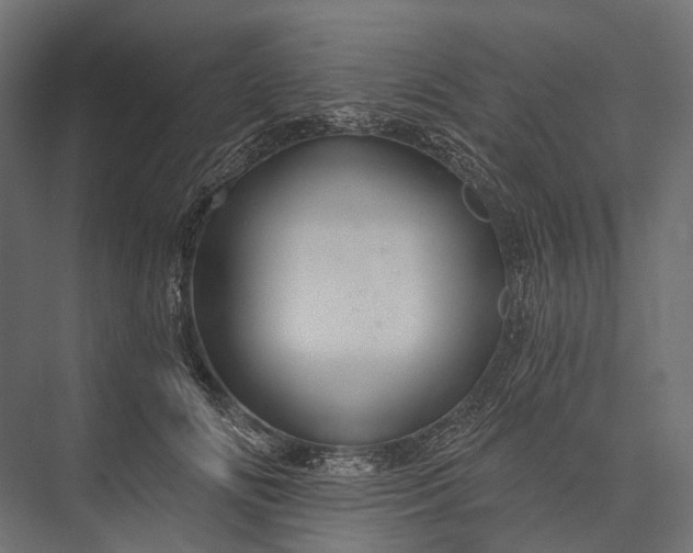 X0000076060702200610061536