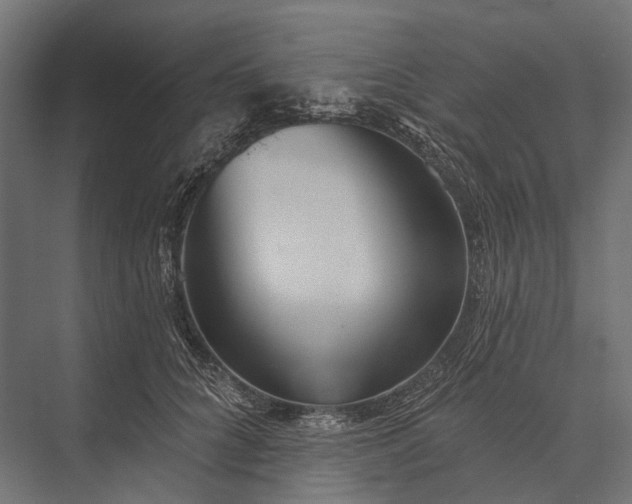 X0000076060704200610061536