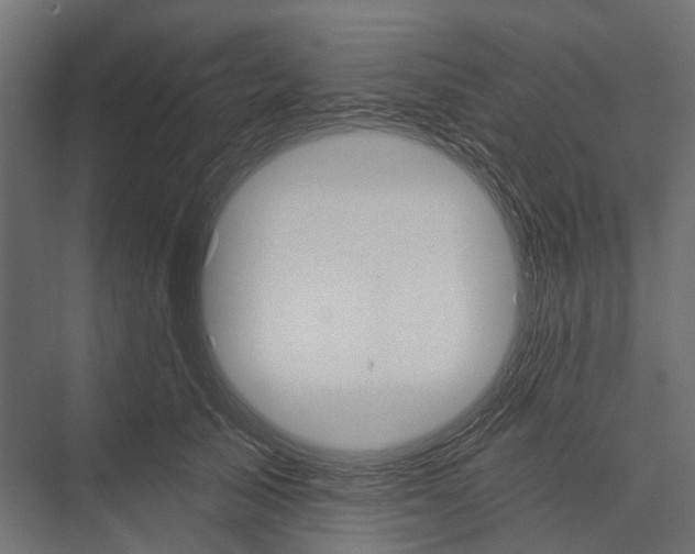 X0000076060705200610061536