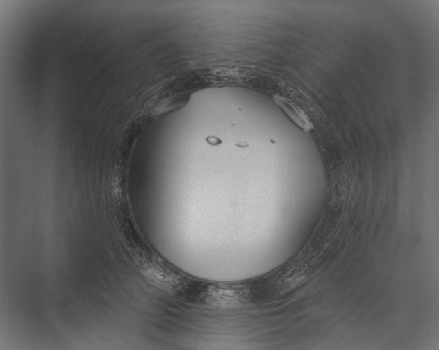 X0000076060706200610061536