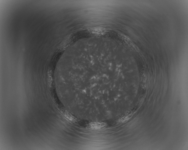 X0000076060707200610061536