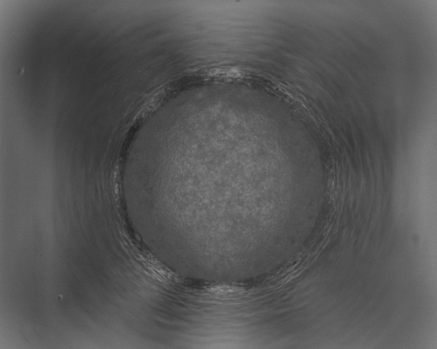 X0000076060708200610061536