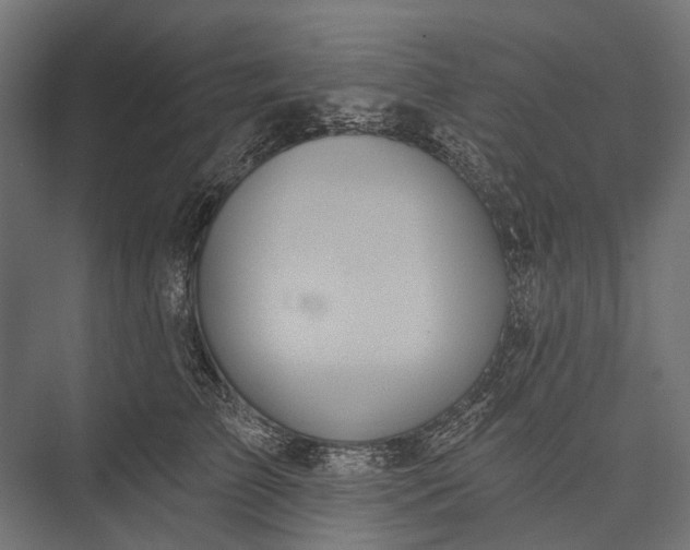 X0000076060709200610061536