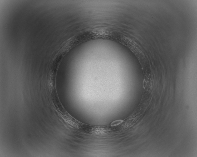 X0000076060710200610061536