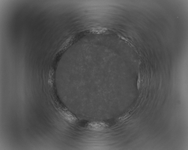 X0000076060712200610061536