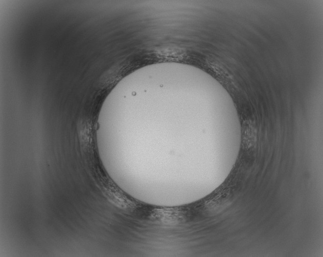 X0000076060713200610061536