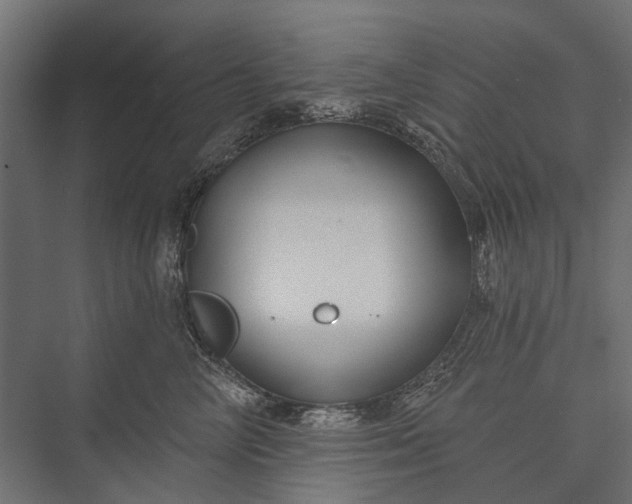 X0000076060714200610061536