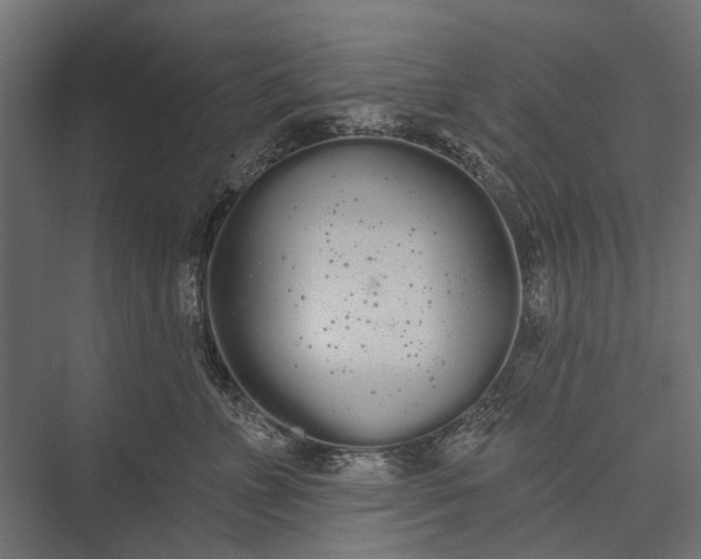 X0000076060715200610061536