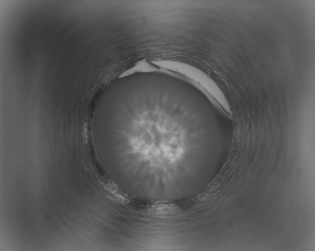 X0000076060716200610061536