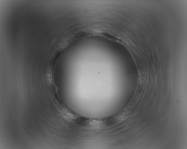 X0000076060718200610061536