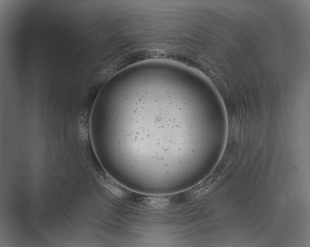 X0000076060719200610061536