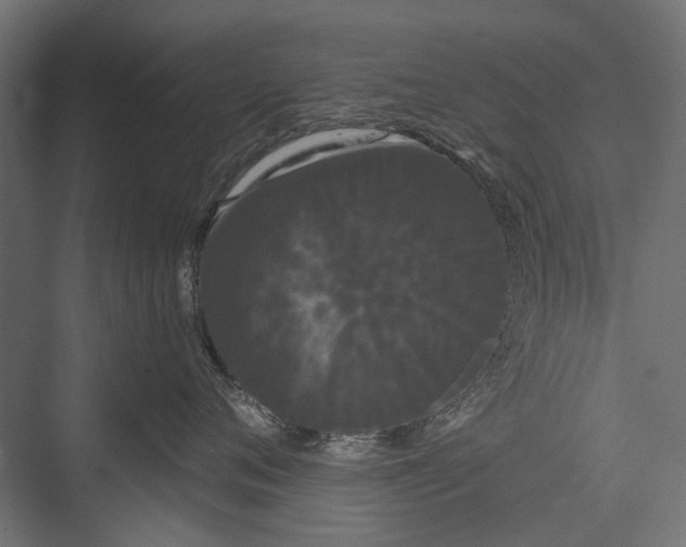 X0000076060720200610061536