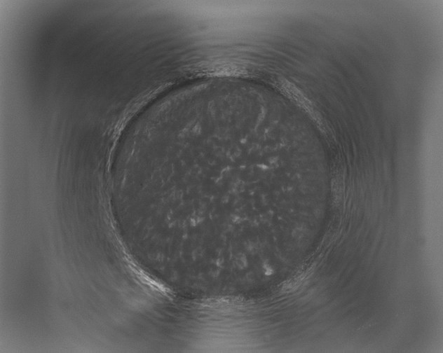 X0000076060721200610061535