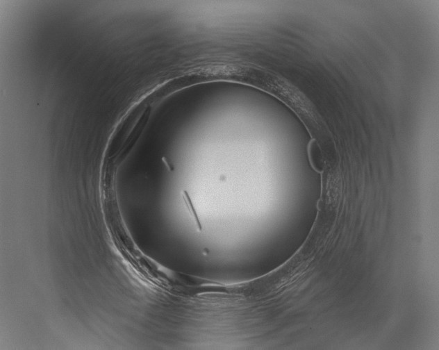 X0000076060722200610061535