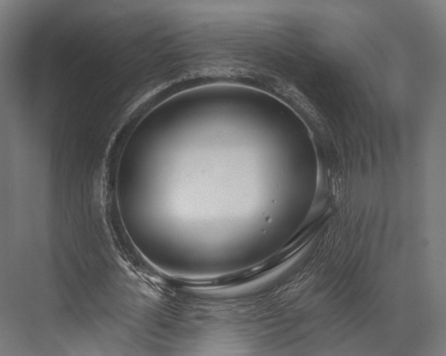 X0000076060724200610061535