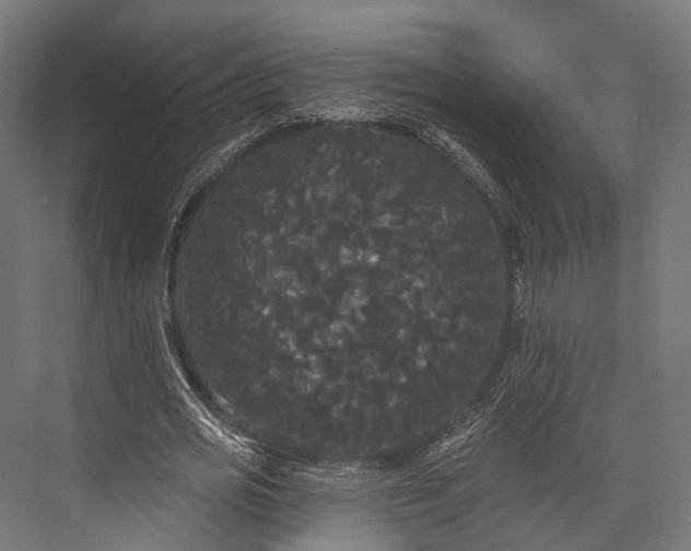 X0000076060725200610061535