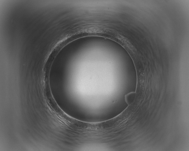 X0000076060727200610061535