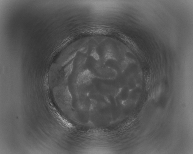 X0000076060729200610061535