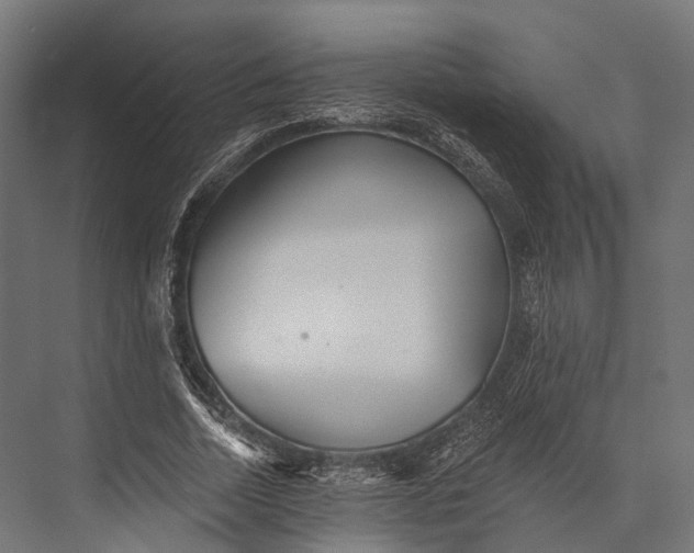 X0000076060730200610061535