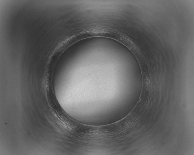 X0000076060732200610061535