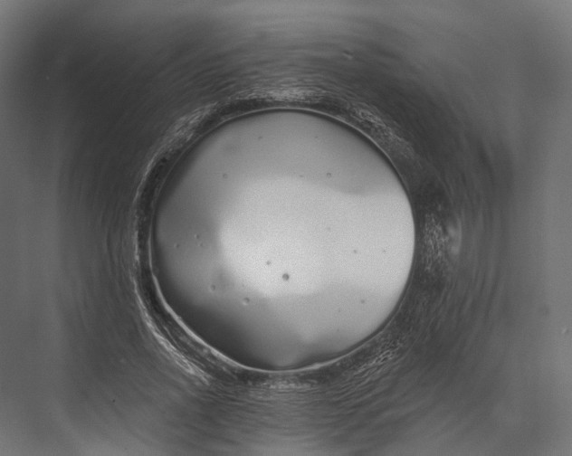 X0000076060734200610061535