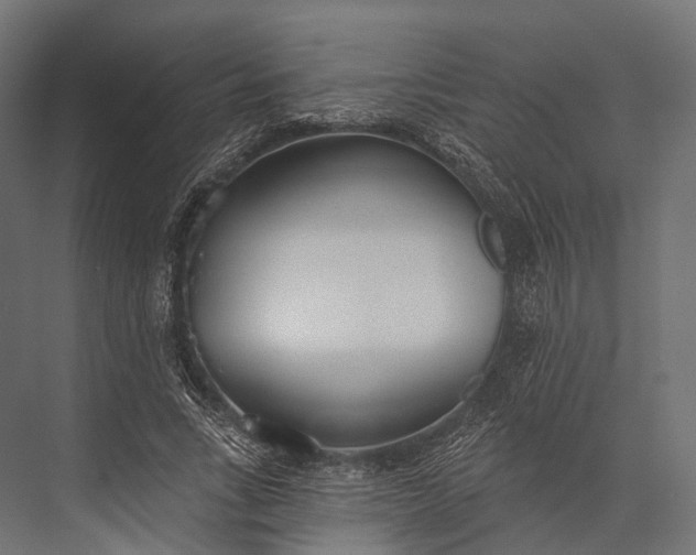 X0000076060735200610061535