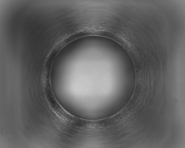 X0000076060736200610061535