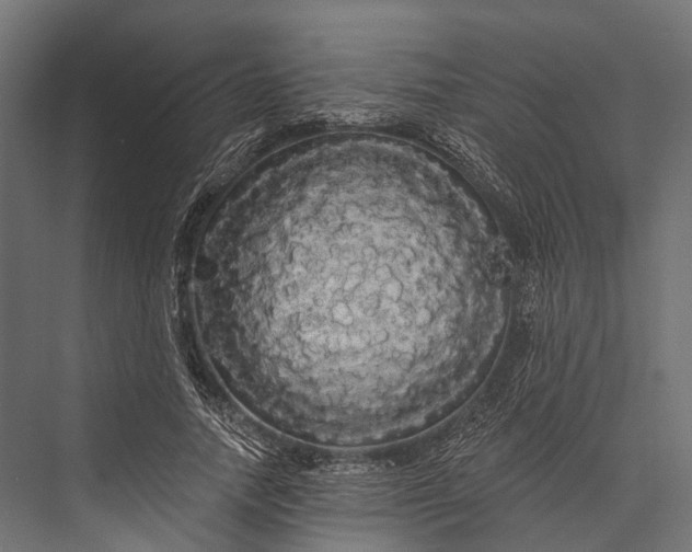 X0000076060738200610061535