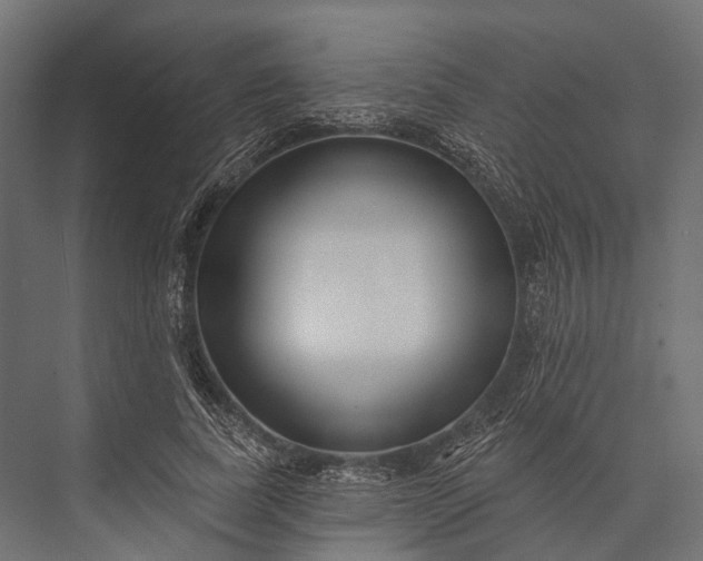 X0000076060739200610061535