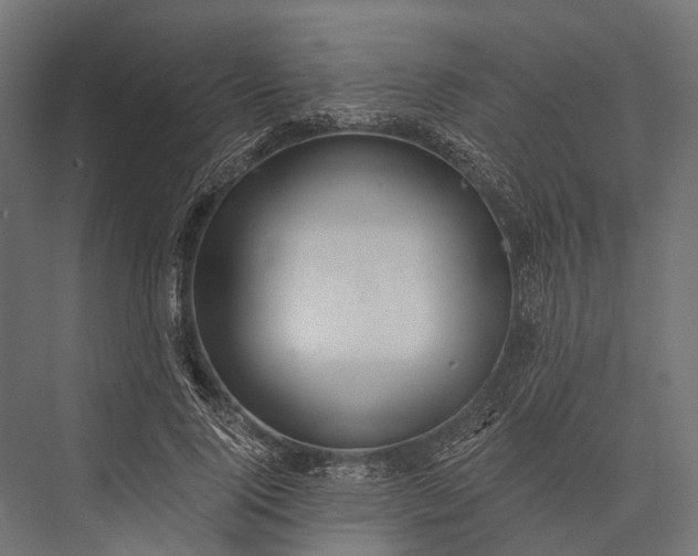 X0000076060740200610061535