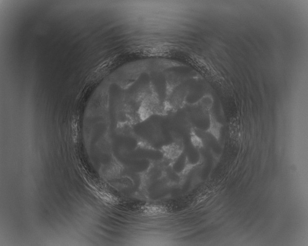 X0000076060741200610061535