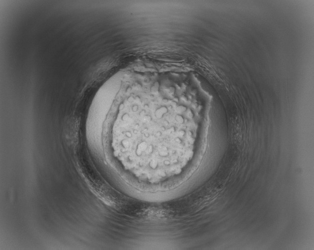 X0000076060742200610061535