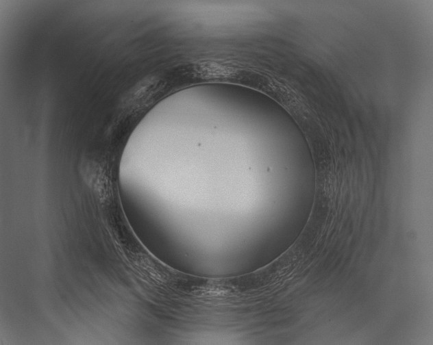 X0000076060743200610061536