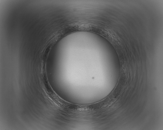 X0000076060744200610061536