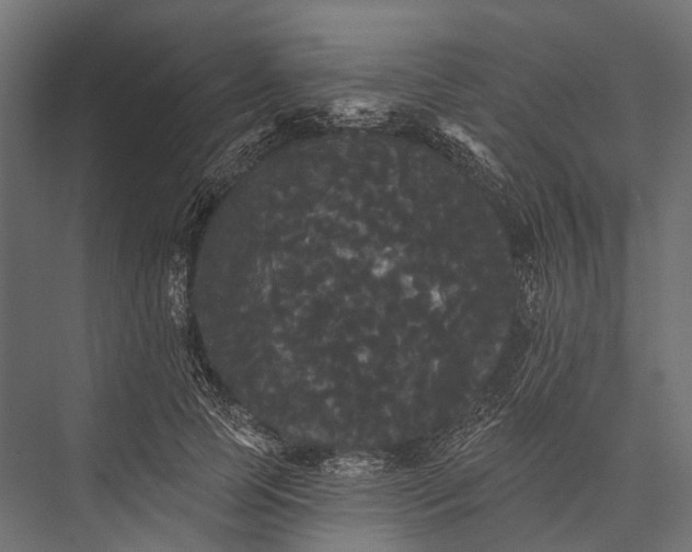 X0000076060745200610061536