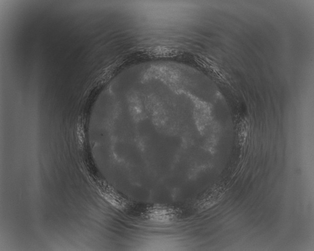 X0000076060746200610061536