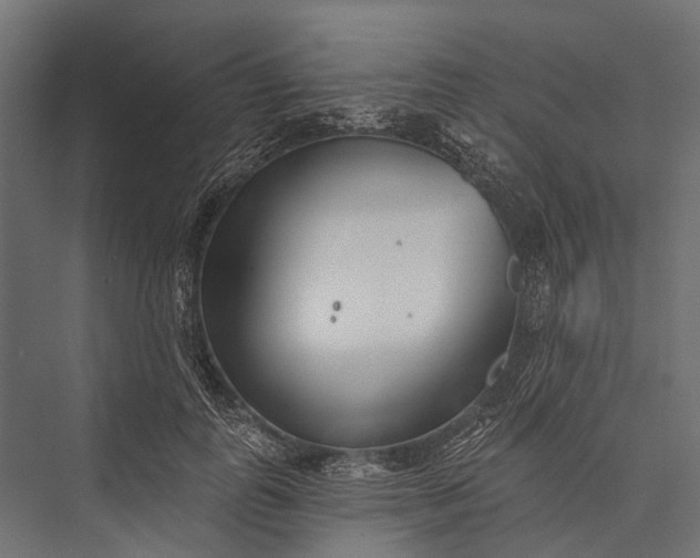 X0000076060747200610061536