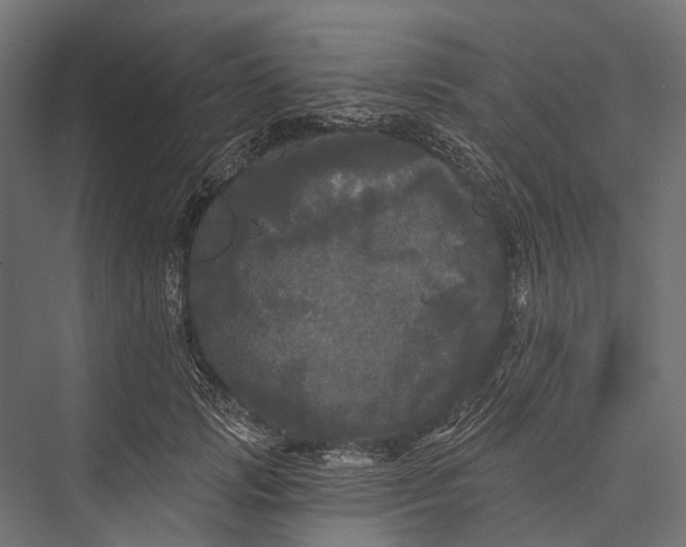 X0000076060749200610061536