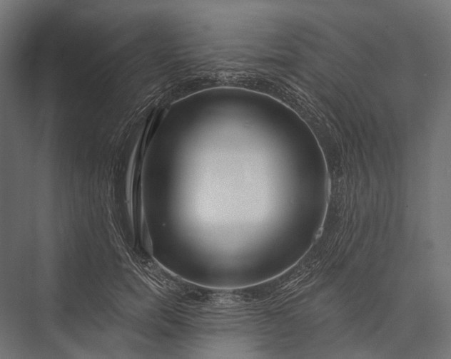 X0000076060750200610061536