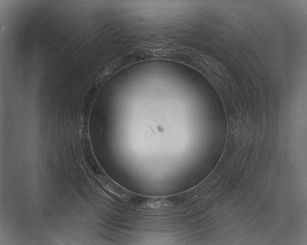 X0000076060752200610061536