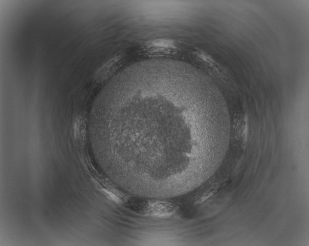 X0000076060753200610061536